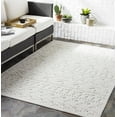 thumbnail image 1 of Hauteloom Treuddyn Living Room, Bedroom Patio Outdoor Area Rug - Global - Beige - 2' x 2'11", 1 of 6
