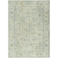 thumbnail image 1 of Hauteloom Tyche Living Room, Bedroom Area Rug - Traditional - High Pile - Light Gray, Peach, Gray - 2' x 2'11", 1 of 6