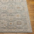 thumbnail image 1 of Hauteloom Wurtulla Living Room, Bedroom Area Rug - Traditional - Medium Gray, Beige, Light Gray - 2'7" x 3'11", 1 of 11
