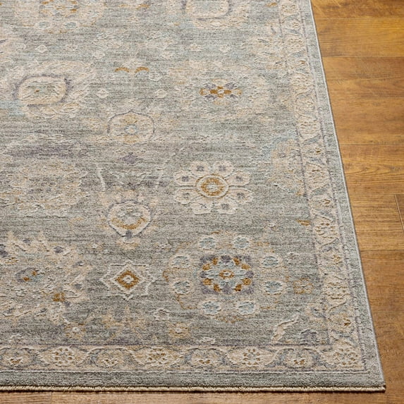Hauteloom Wurtulla Living Room, Bedroom Area Rug - Traditional - Medium Gray, Beige, Light Gray - 2' x 2'11"
