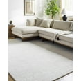 thumbnail image 1 of Hauteloom Zareh Recycled Material Living Room, Bedroom Area Rug - Traditional, Transitional - Light Silver - 18" Sample, 1 of 3