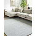 thumbnail image 1 of Hauteloom Zareh Recycled Material Living Room, Bedroom Area Rug - Traditional, Transitional - Light Silver, Silver Gray - 2' x 3', 1 of 7