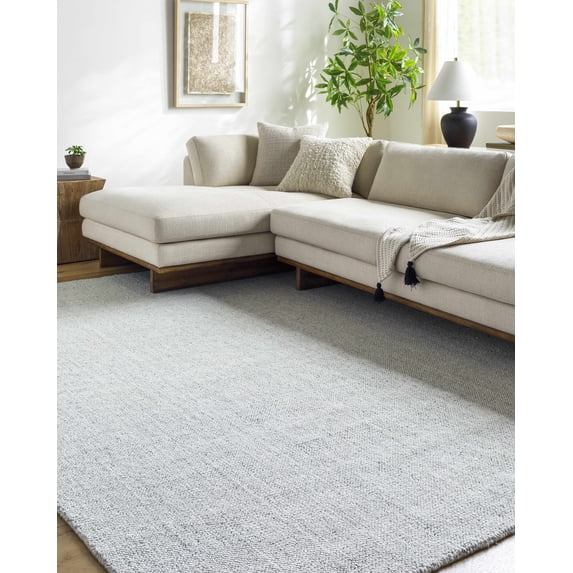 Hauteloom Zareh Recycled Material Living Room, Bedroom Area Rug - Traditional, Transitional - Light Silver, Silver Gray - 2' x 3'