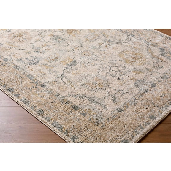 Hauteloom Zohema Living Room, Bedroom Area Rug - Floral Border Medallion - Traditional Oriental Transitional - High Pile - Cream, Beige, Gray - 9'2" x 12'