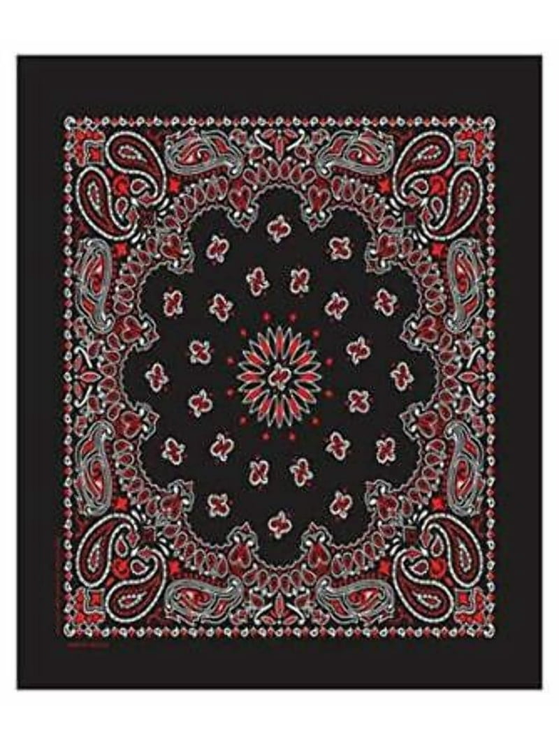 Hav-A-Hank Paisley Bandanna 22 X 22-Black Red White 100