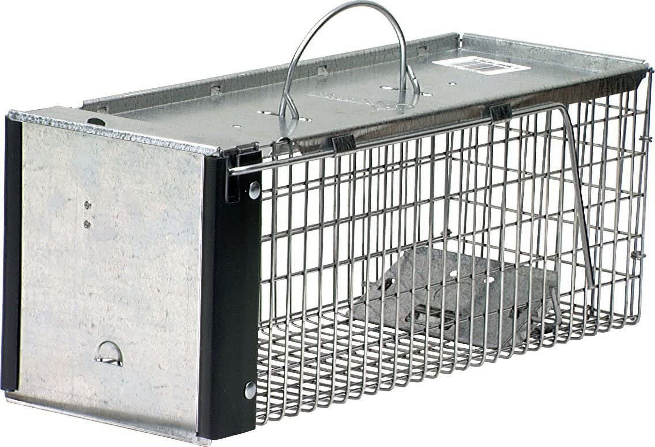 Folding Trap Cage - Live Animal Trap - BirdGard Iberia