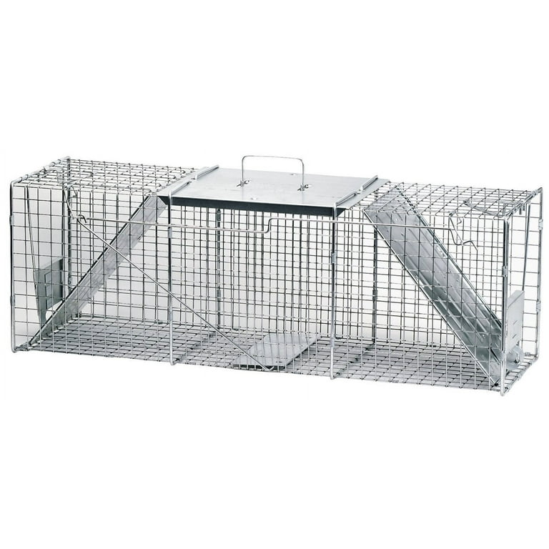Professional Raccoon/Cat/Rabbit/Ground Hog Galvanized Metal Live Animal Trap  with 1/2 x 1/2 Grid – TJB-INC Online Store