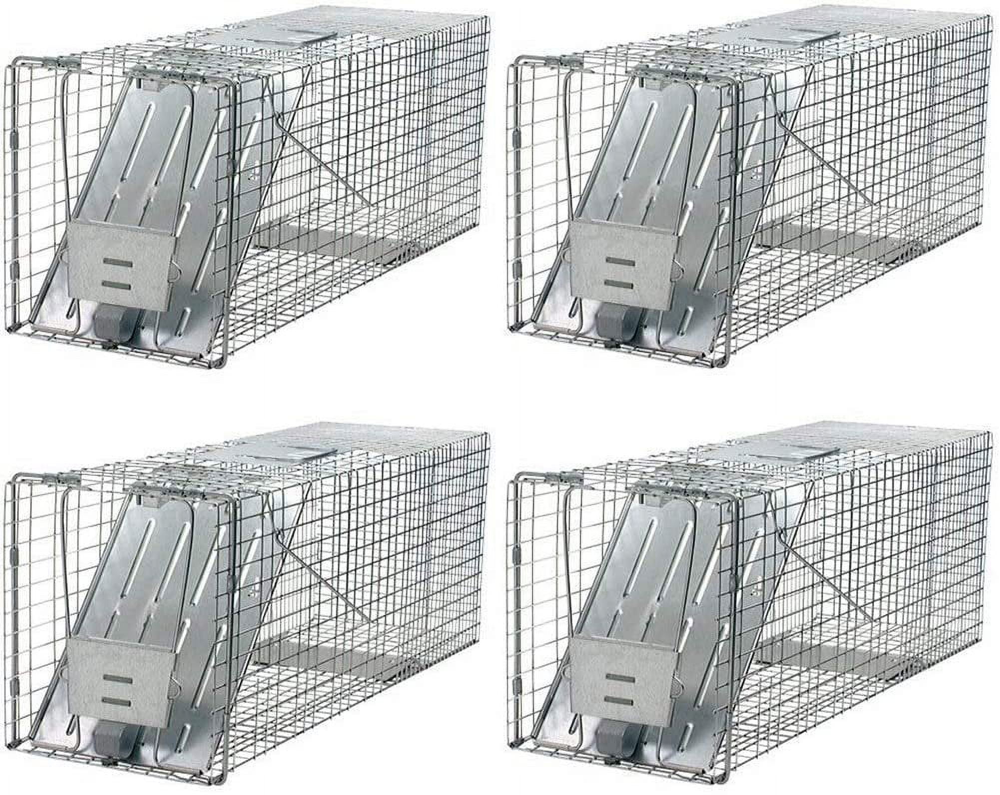 Havahart 1079 Large 1-Door Humane Animal Trap for Raccoons, Cats,  Groundhogs, Opossums (Pack of 4)