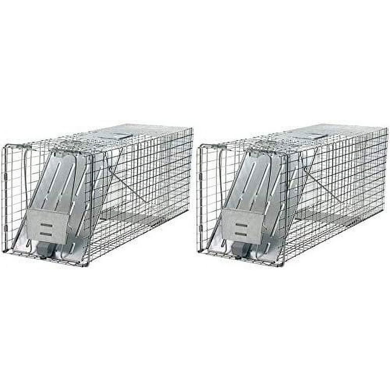 Havahart 1079 Large 1-Door Humane Animal Trap for Raccoons, Cats, Groundhogs, Opossums (Pack of 2)