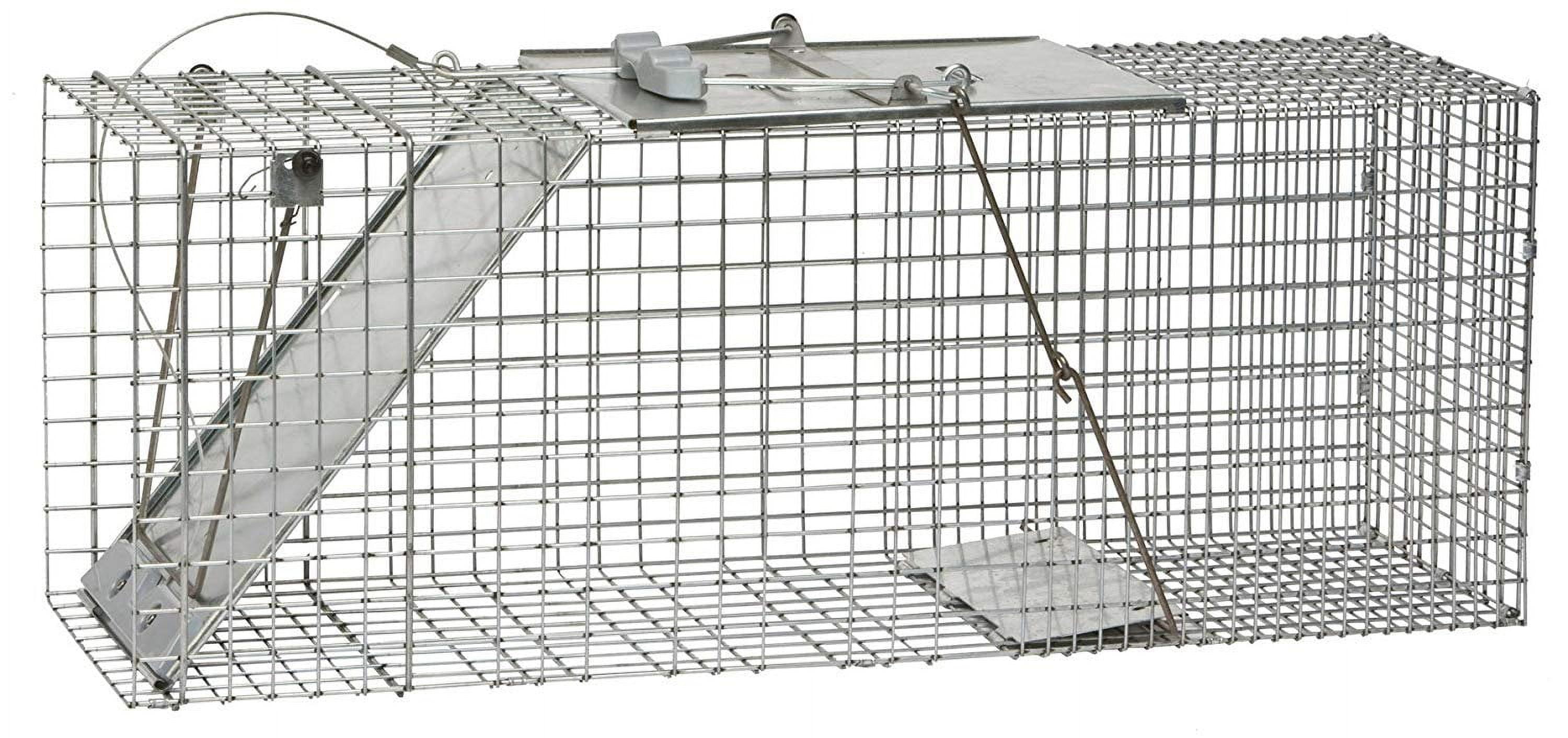 Havahart 1045 2-Door Live Raccoon Animal Cage Trap, Large, 36 x