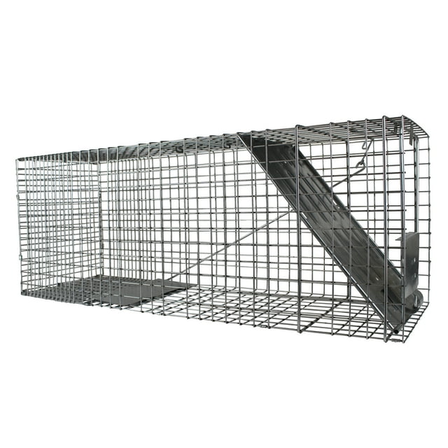 Havahart Large 1-Door Animal Trap - Humane Live Catch & Release Raccoon ...