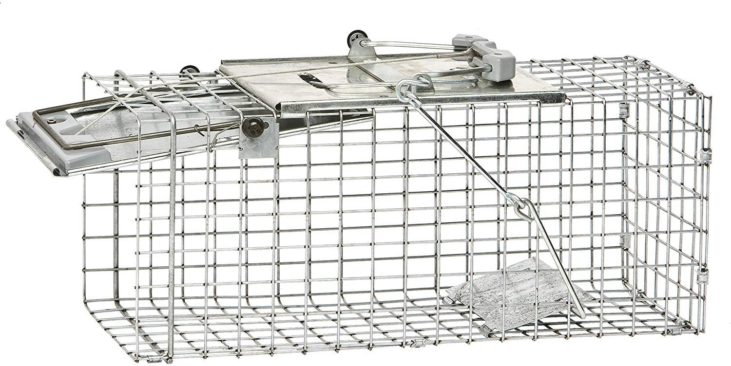 Squirrel Spring Trap Havahart Easy Set Live Catch & Release Animal Trap - Humane, Spring ...