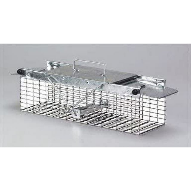 Havahart Small Squirrel 2-Door Animal Trap