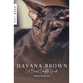 Havana Brown: Cat Breed Complete Guide (Paperback)