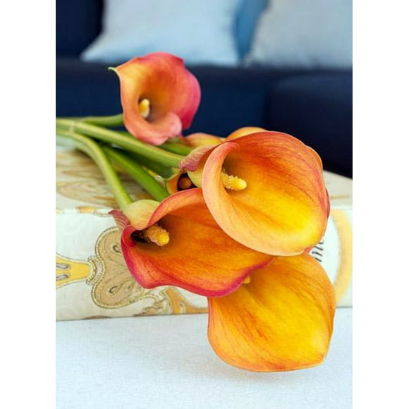 Havana Calla Lily Bulb 14/16cm - Deep Yellow to Vivid Burnt Orange