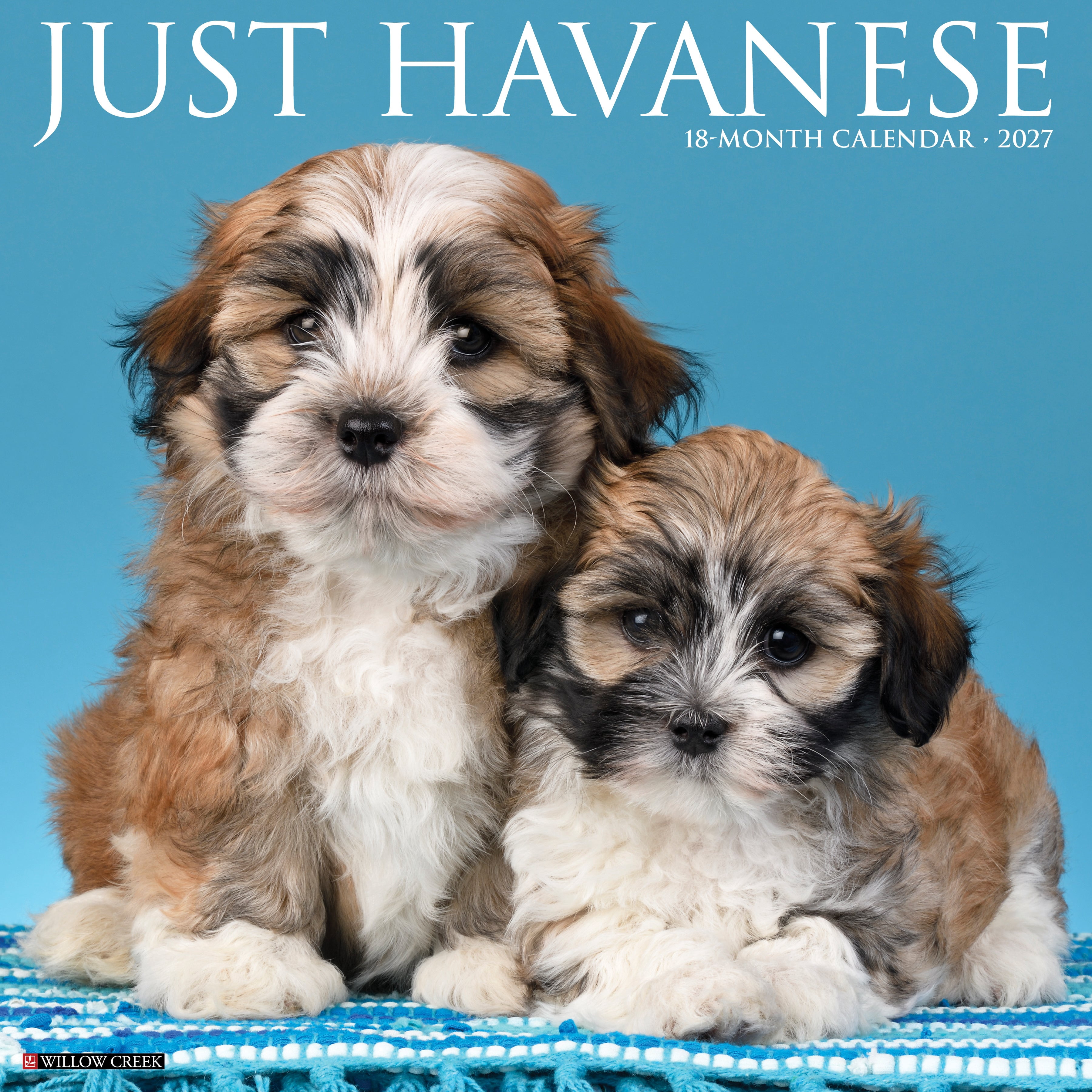 Willow Creek Press, Havanese 2027 Wall Calendar
