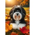 thumbnail image 1 of Havanese Black and White  -  Best of Breed DCR Falling Leaves House Flag, 1 of 1