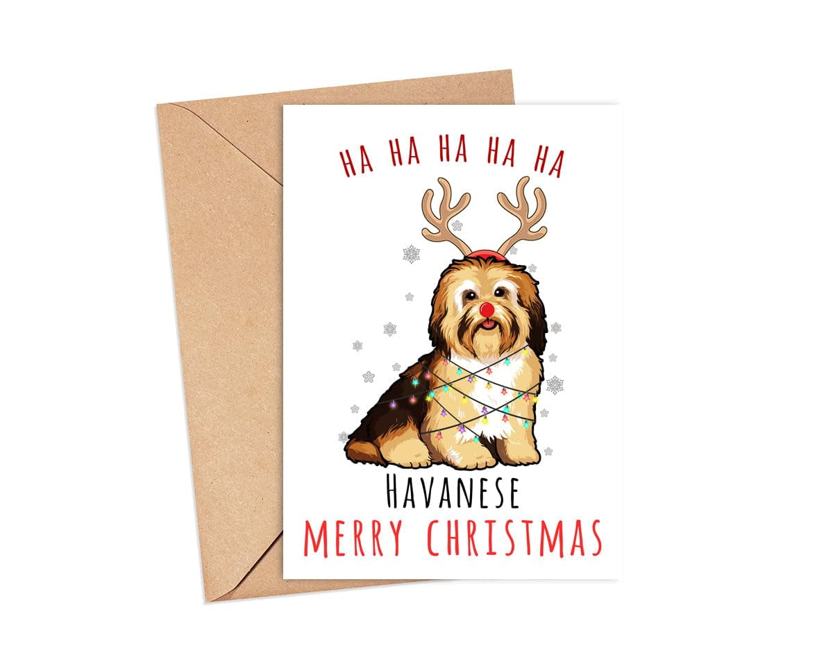 Brainbox Candy Funny Dog Christmas Card - 'Numb Nuts!' Cheeky Holiday Card For Dog Lovers