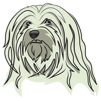 Havanese Decal | Indoor/Outdoor | Dog Lover Super Cute Sticker for SUV Windows, Dorm Rooms, Bedroom, Offices | SignMission personalized gift | 12"