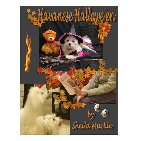 Havanese Hallowe'en (Paperback)