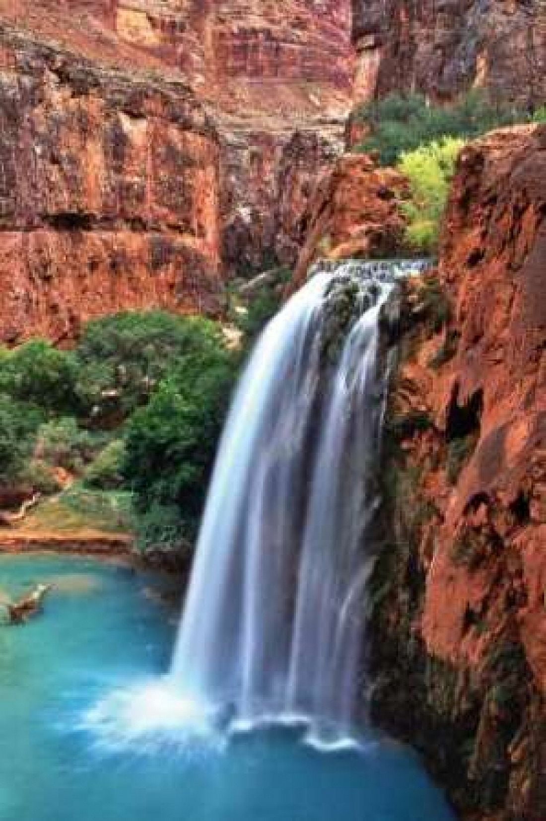 Havasu Falls II Canvas Art - Larry Malvin (24 x 36)