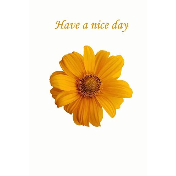 Have a nice day (Paperback)