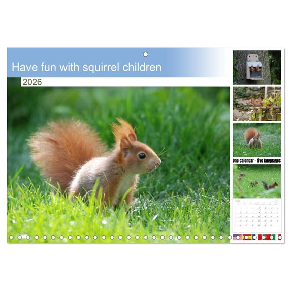 Have fun with squirrel children (Monthly Wall Calendar 2026 11.7 x 16.5 (open)), CALVENDO 14 Month Calendar