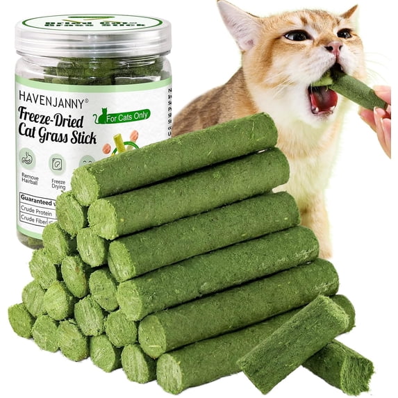 HavenJanny 100g Cat Grass Teething Stick – Indoor Cat Treat for Hairball Relief & Teeth Cleaning