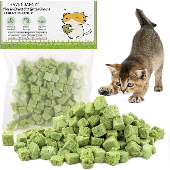 HavenJanny 60g Cat Grass Treats for Cat, Freezed Drying Cat Grass Teething Stick Snacks for Cats, Edible Cat Chew Toys for Teeth Cleaning and Hairball Removal