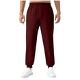 thumbnail image 1 of Havenre Men Jogger Yoga Sweatpants Lightweight Casual Athletic Elastic Waist Pants Clinch Bottom Trousers Jersey Knit Pants with Pockets Wine M, 1 of 6