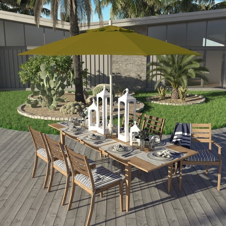 Havenside Home Okaloosa 9ft Deluxe Crank Lift Umbrella by , Base Not Included kiwi