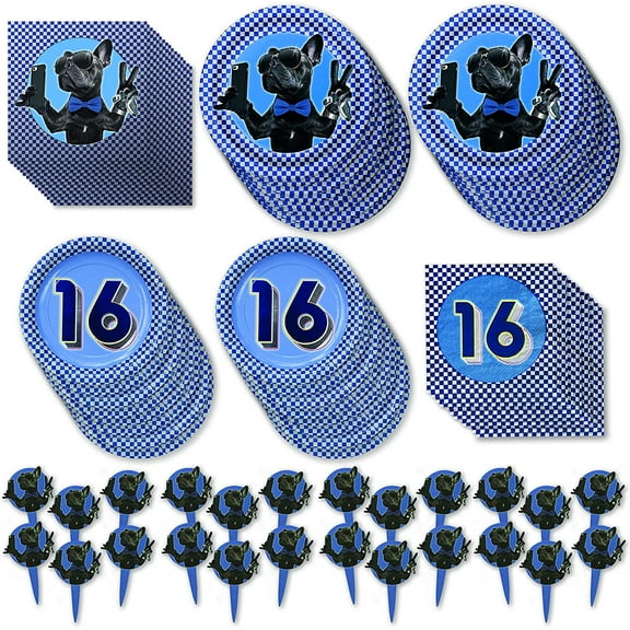 Havercamp Boys 16th Birthday Deluxe Party Pack for 16 Guests! Includes 16 ea. Dinner Plates, Side Plates, Luncheon Napkins & Beverage Napkins and 24 Party/Food Picks.