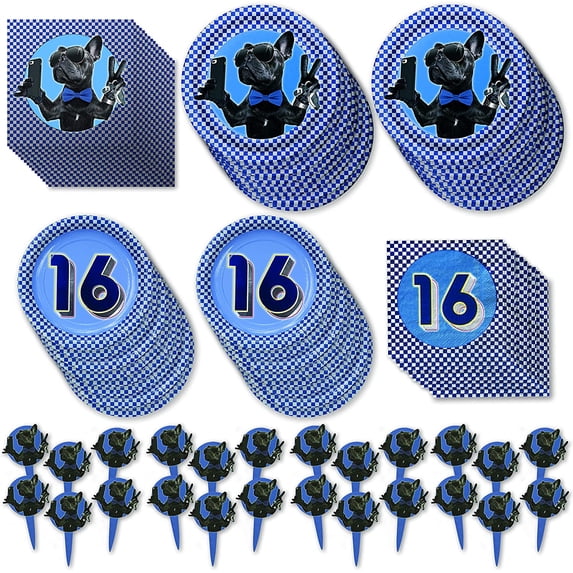 Havercamp Boys 16th Birthday Deluxe Party Pack for 16 Guests! Includes 16 ea. Dinner Plates, Side Plates, Luncheon Napkins & Beverage Napkins and 24 Party/Food Picks.