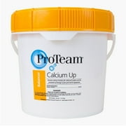 ProTeam Calcium Up 25 lb Bucket Calcium Hardness Increaser for Swimming Pools