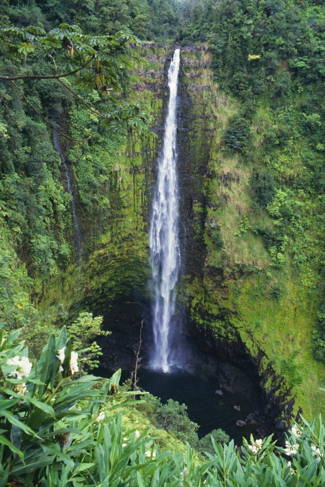 Hawaii Big Island Akaka Falls Lush Greenery In Foreground Canvas Art - Liysa Swart  Design Pics (24 x 38)
