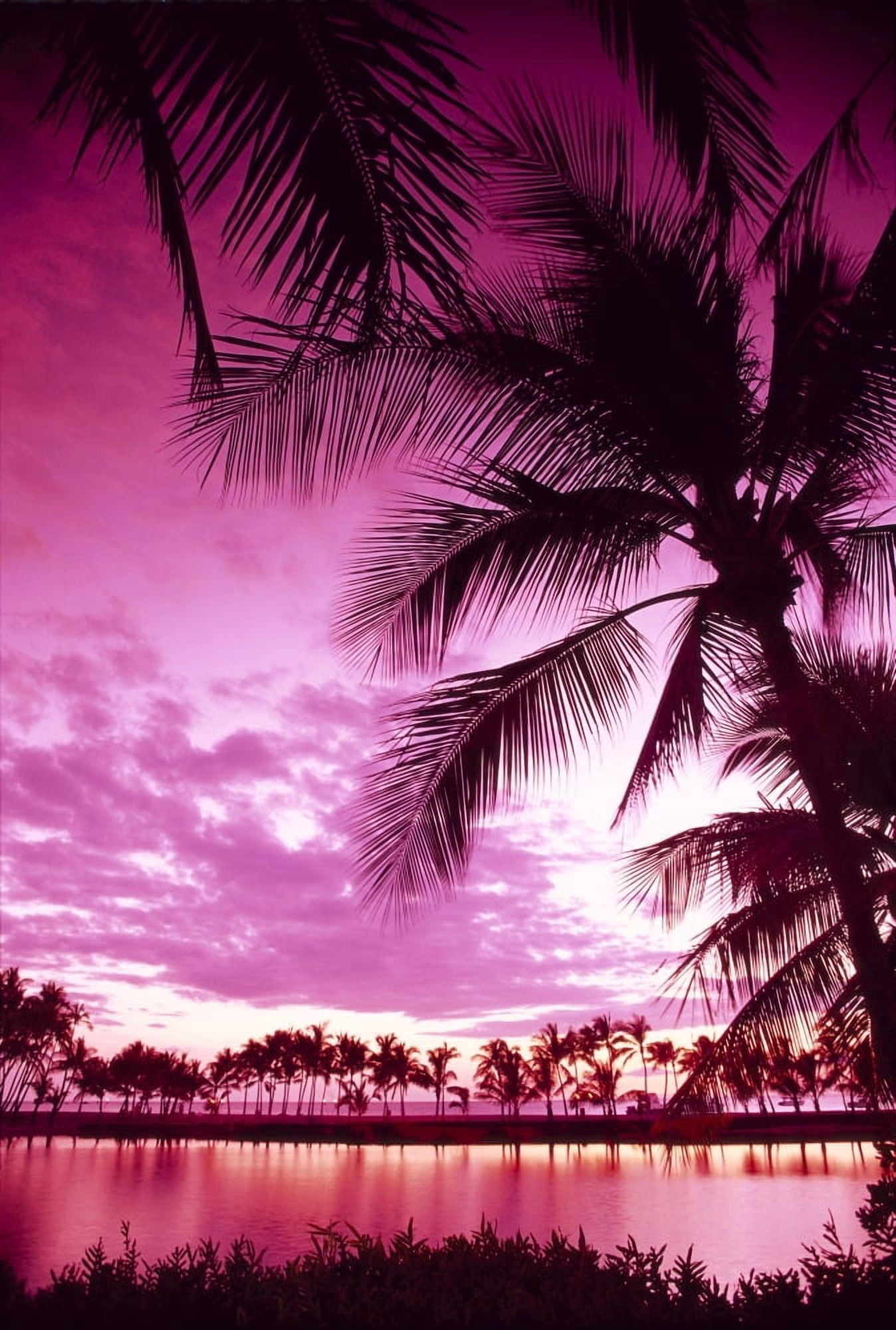 Hawaii Big Island Anaehoomalu Bay Sunset With Palm Trees Pink Filter B1509 Canvas Art - Carl Shaneff Design Pics (24 x 38)