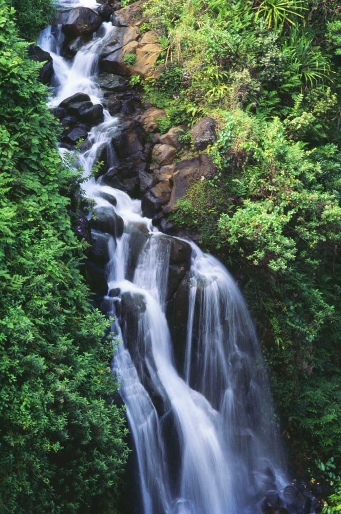 Hawaii Big Island Hamakua Coast Waterfall Running Through Crevice Of Mountain Canvas Art - Robert Sablan Design Pics (12 x 19)