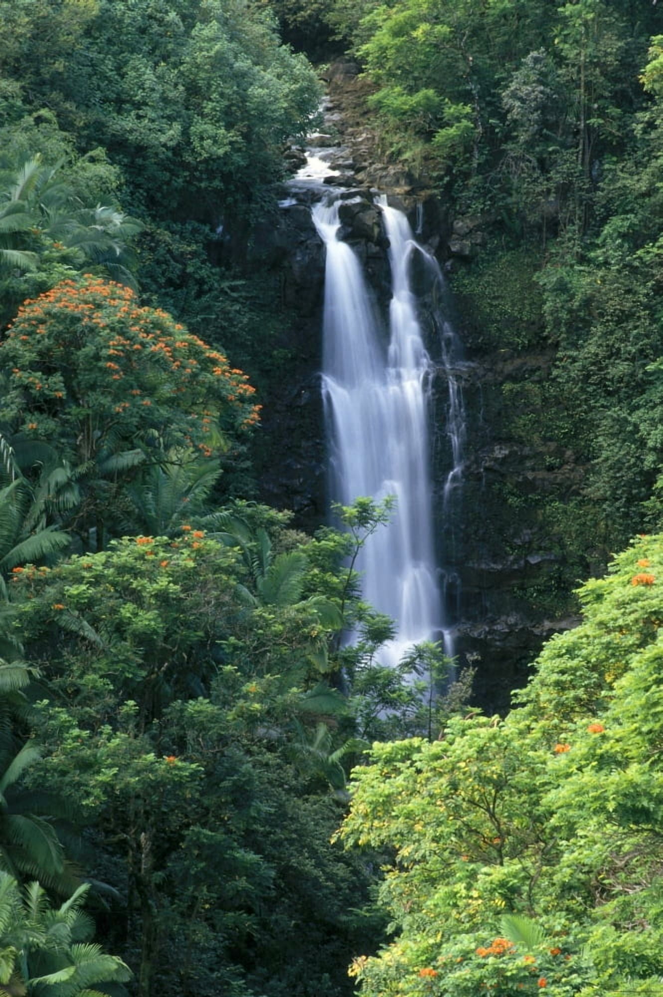 Hawaii Big Island Hamakua Coast Waterfall Surrounded By Greenery A20H Canvas Art - Brent Black Design Pics (12 x 19)
