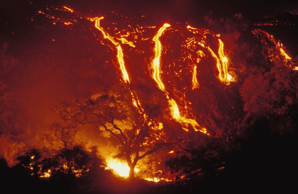 Hawaii Big Island Hawaii Volcanoes National Park Lava Flows Into Forest Burning Trees Canvas Art - Peter French Design Pics (34 x 22)