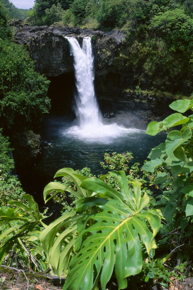 Hawaii Big Island Hilo Rainbow Falls State Park Greenery Surrounds Waterfall Canvas Art - Peter French Design Pics (12 x 19)