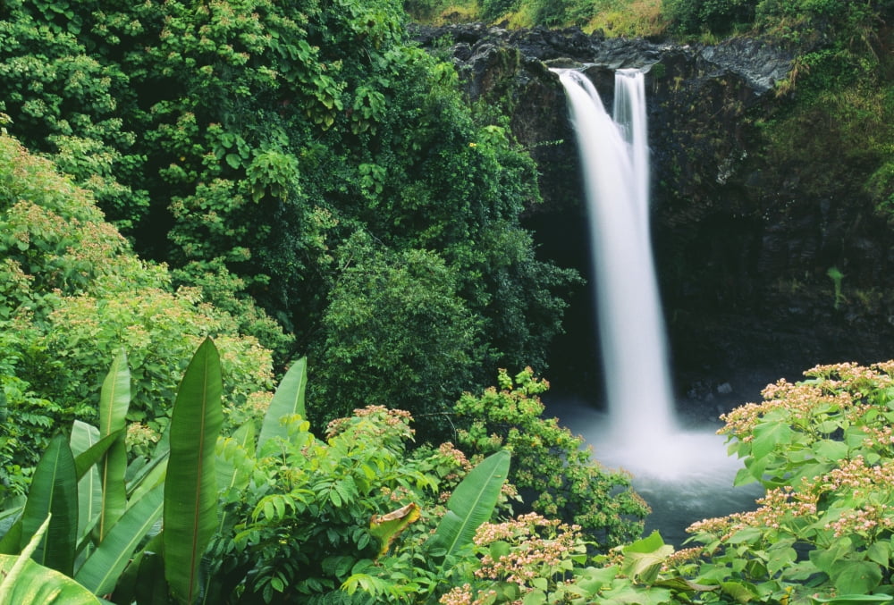 Hawaii Big Island Hilo Wailuku River State Park Rainbow Falls Flowers And Greenery In Foreground Canvas Art - Greg Vaughn Design Pics (38 x 24)