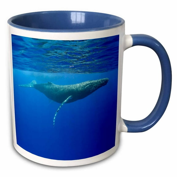 3drose, Hawaii, Big Island, Humpback Whale - Us12 Pso0028 - Paul Souders, 15oz Two-tone Blue Mug