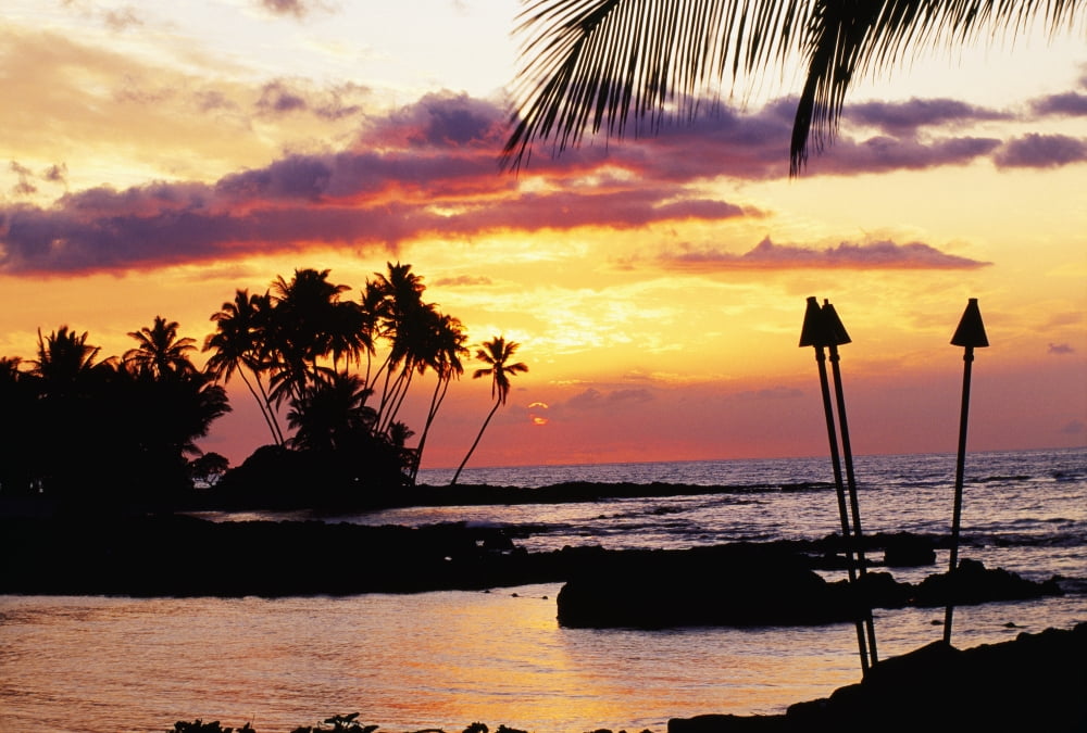 Hawaii Big Island Kohala Waiulua Bay Orange Sunset With Palm Trees And Tiki Torches Canvas Art - Chris Abraham Design Pics (19 x 12)