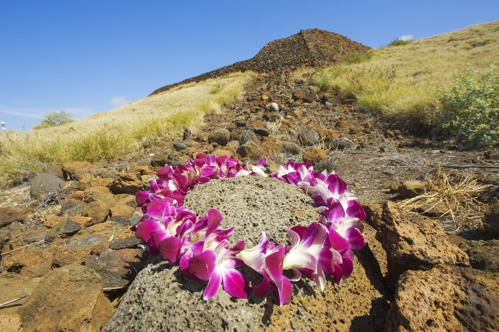 Hawaii Big Island North Kohala Kawaihae Mailekini Heiau Orchid Lei In Foreground Canvas Art - Ron Dahlquist Design Pics (34 x 22)