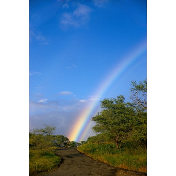 Hawaii Big Island North Kohala Rainbow Old Road Kiawe Trees B1469 Canvas Art - Peter French Design Pics (24 x 38)