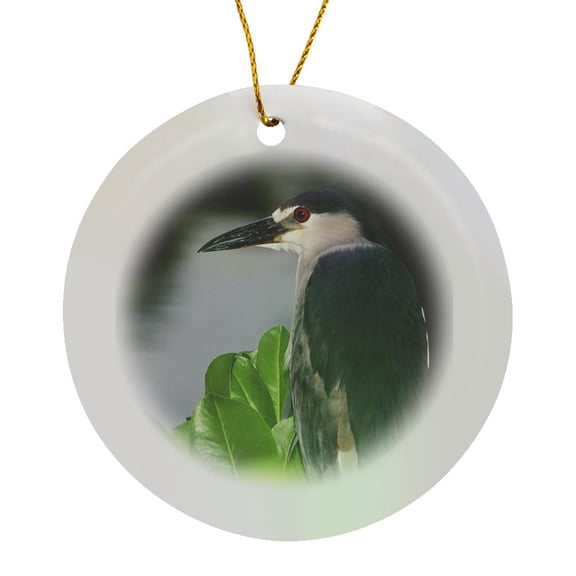 3drose, Hawaii, Big Island, North Kona, Night Heron Bird - Us12 Pha0000 - Peter Hawkins, Circle Porcelain Ornament