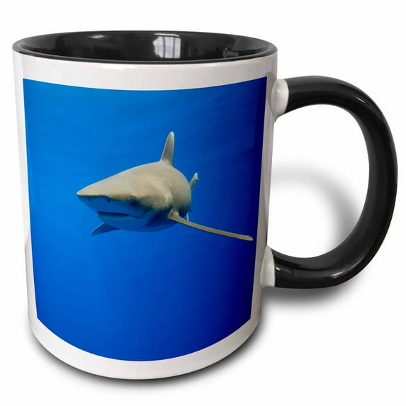 3drose, Hawaii, Big Island, Oceanic White Tip Shark - Us12 Pso0039 - Paul Souders, 11oz Two-tone Black Mug