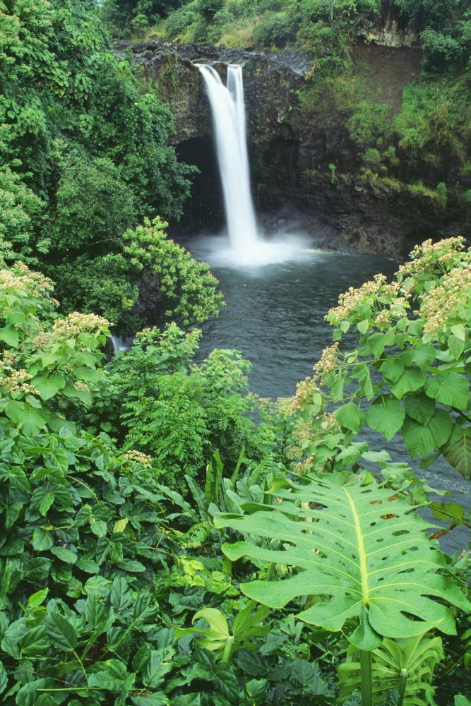 Hawaii Big Island Rainbow Falls Pool Surrounded By Tropical Foliage Canvas Art - Greg Vaughn Design Pics (24 x 38)