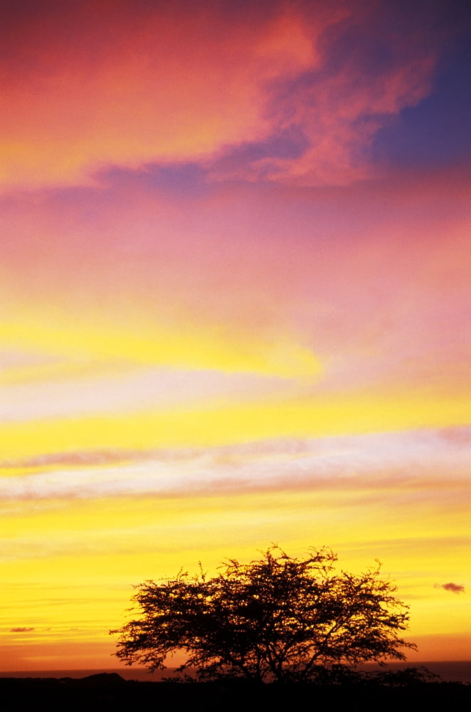 Hawaii Big Island Sunset At Kohala Coast Canvas Art - Peter French Design Pics (22 x 34)