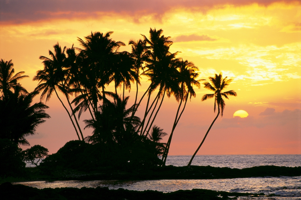 Hawaii Big Island Wailua Bay View Of Palm Trees At Sunset Calm Ocean Waters Canvas Art - Chris Abraham Design Pics (19 x 12)